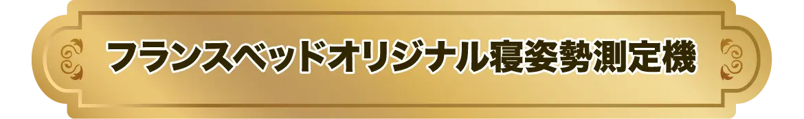 フランスベッドオリジナル寝姿勢測定機